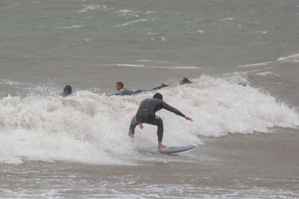 Mientras los ilicitanos se refugian en sus casas, otros aprovechan el temporal para practicar surf