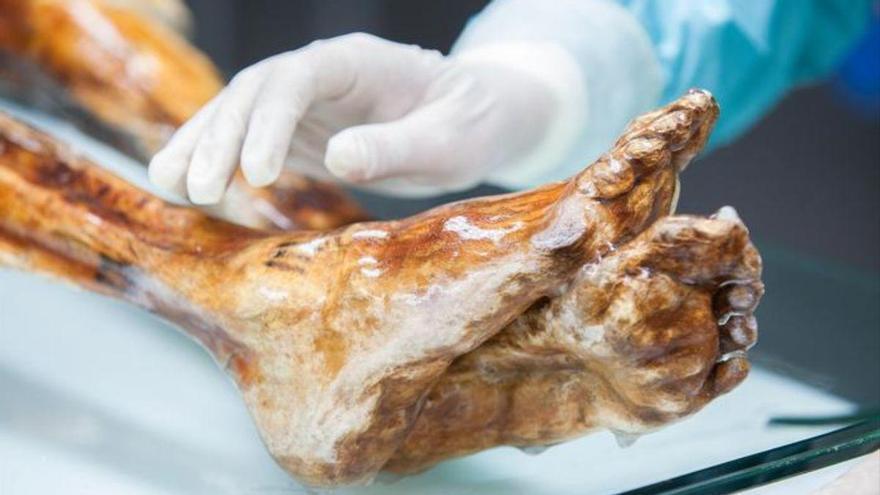 ¡Ötzi vive! El microbioma de una momia de 5.300 años sigue vivo