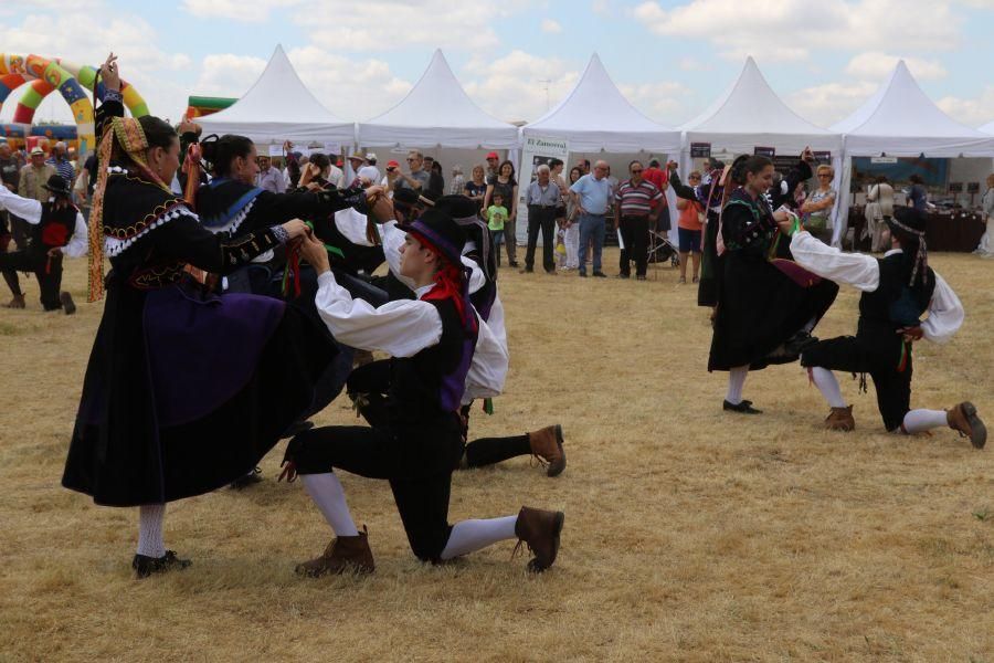 Feria de la Raza Sayaguesa en Bermillo