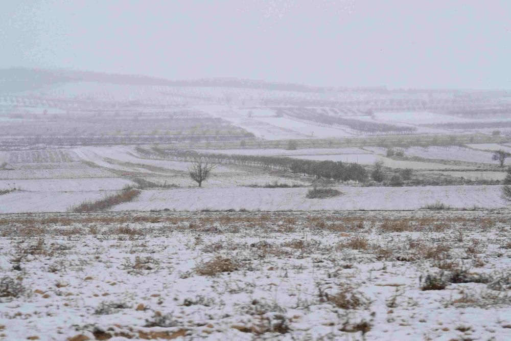 Nieve en Coy, Lorca