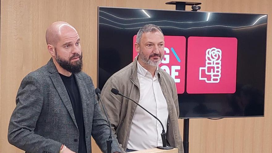 El PSOE pontevedrés propone que las asociaciones y protectoras puedan recoger animales en la calle