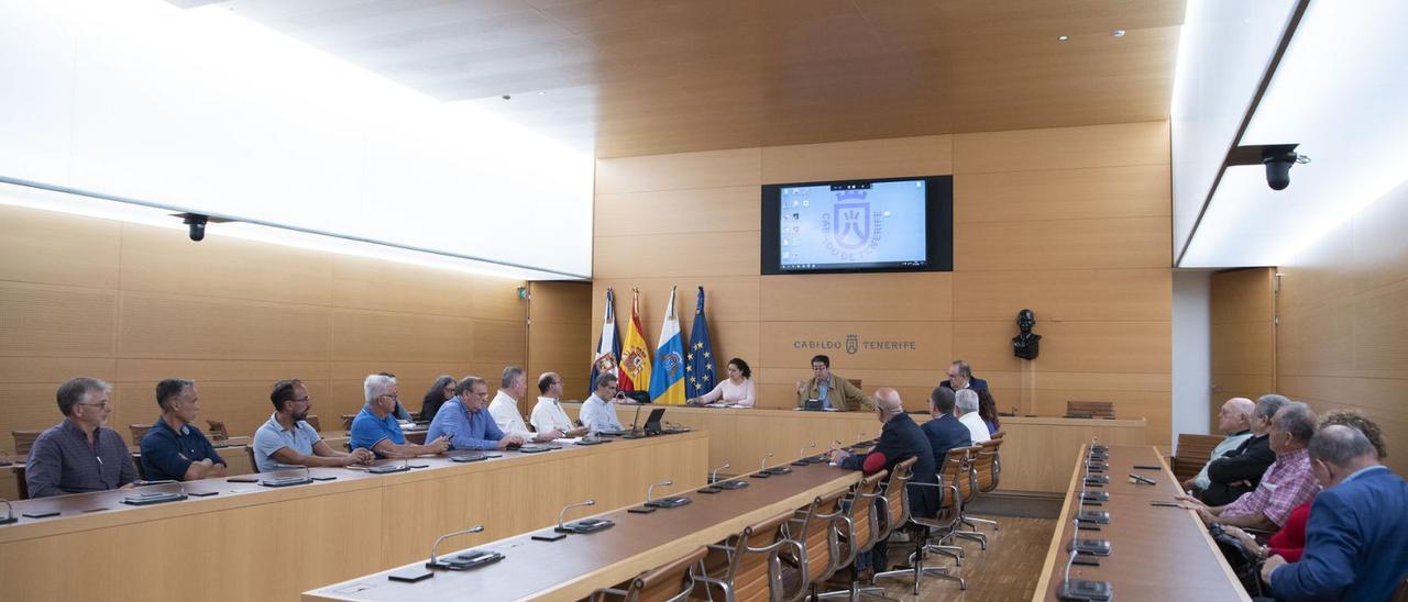 La reunión celebrada en la tarde de ayer en el Cabildo de Tenerife. | | E. D.