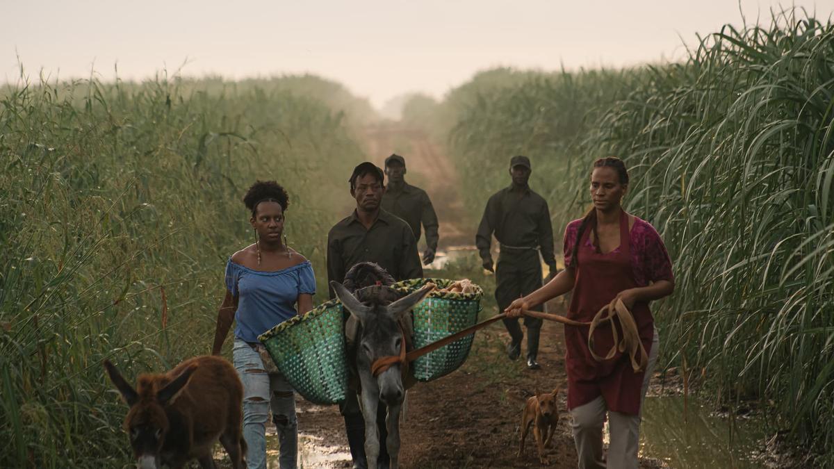 Una imagen de 'Sugar Island'