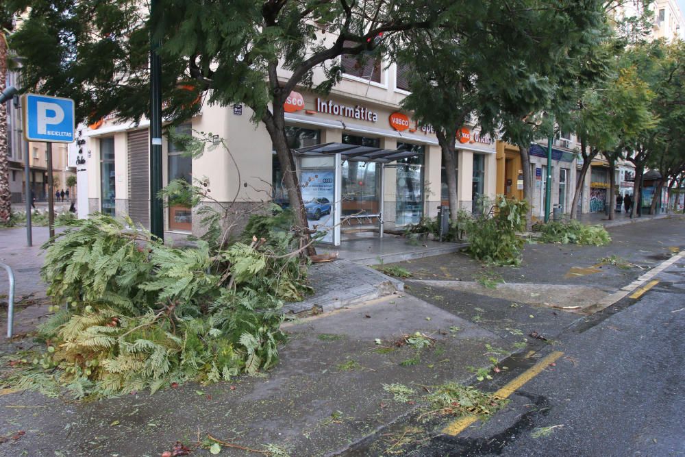 Temporal de viento y lluvia en Málaga