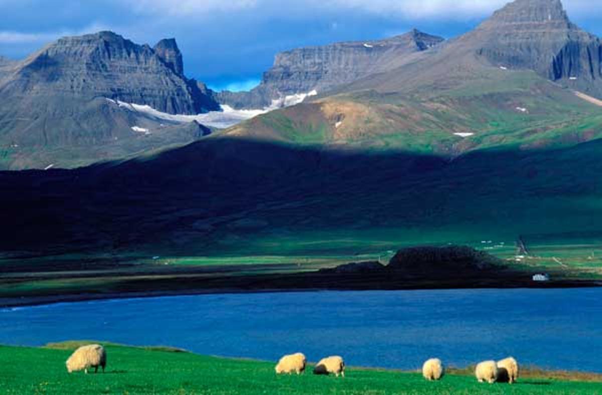 Fiordo Borgarfjordur, en la región de Vesturland , en Islandia. Fiordo Borgarfjordur, en la región de Vesturland , en Islandia.