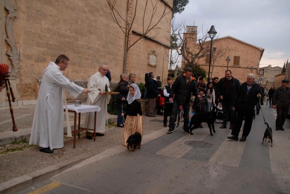 Las imágenes de las Beneïdes de Sant Antoni en la Part Forana