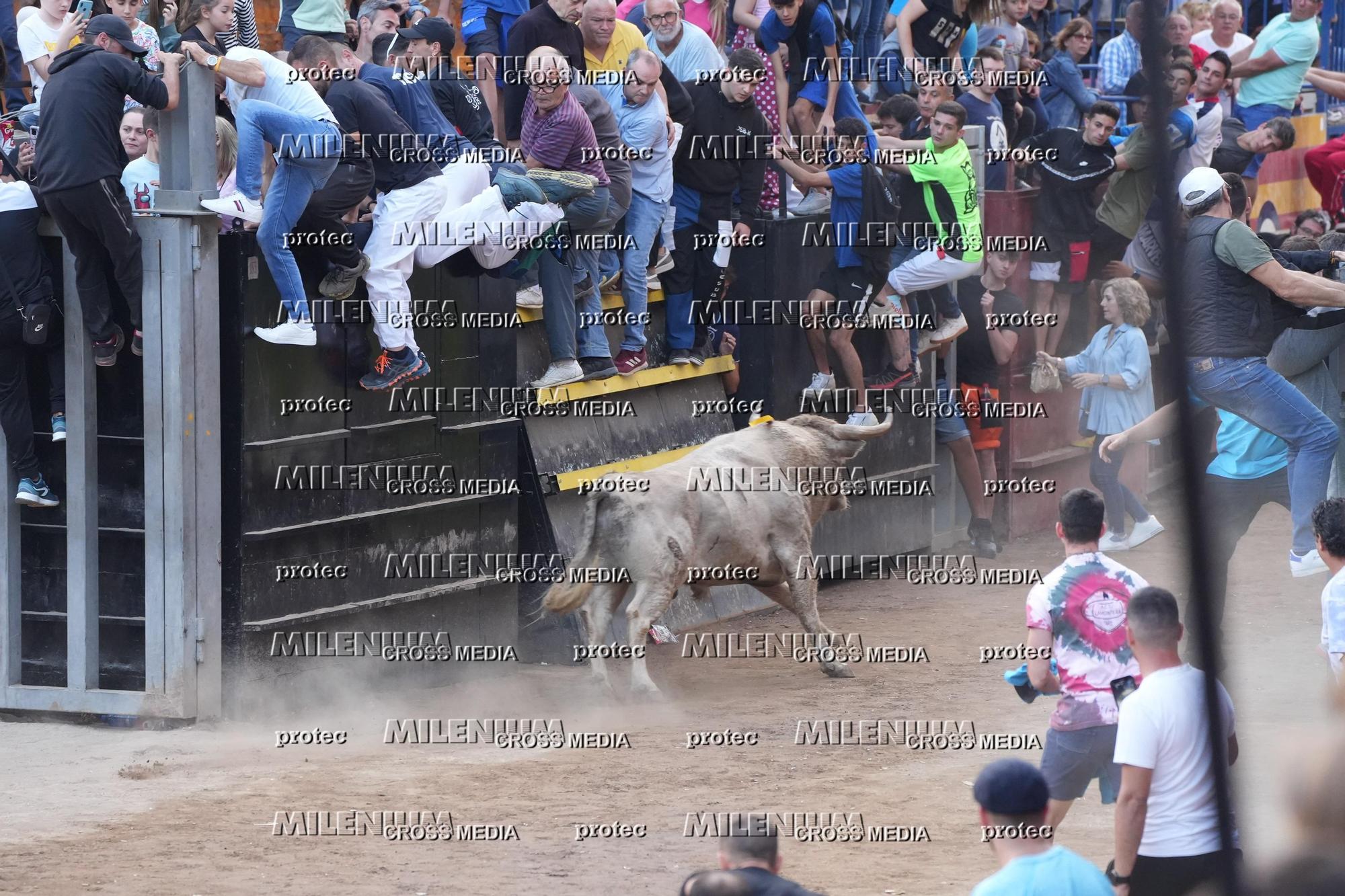 Galería de fotos de la última tarde de toros de la Fira en Onda