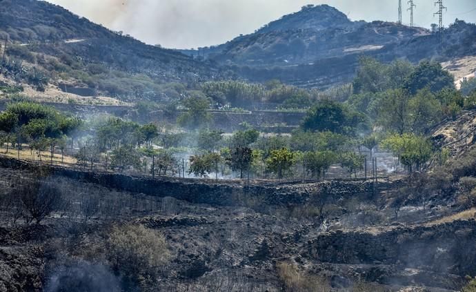 ARTENARA. Incendio en la Cumbre. Finca quemada en la zona de Lomo Cuevas.  | 11/08/2019 | Fotógrafo: José Pérez Curbelo