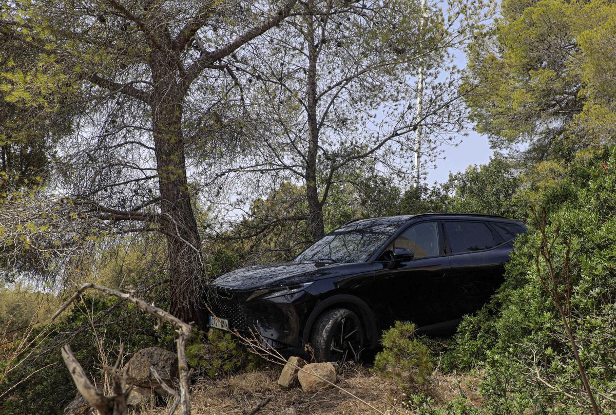 El coche suspendido en una rama al caer cuatro metros del mirador de na Burguesa