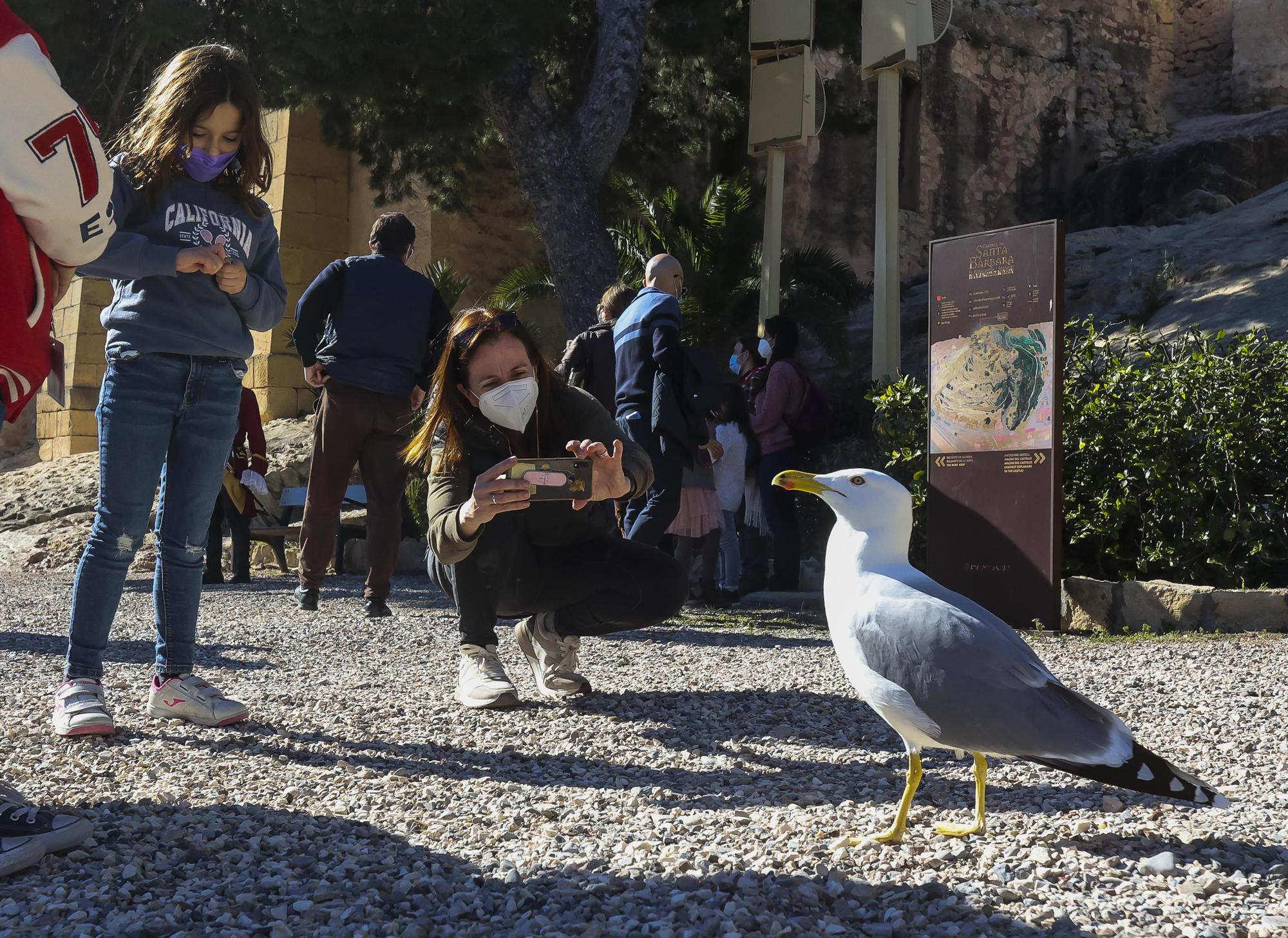 Primera visita teatralizada en el Castillo de Santa Bárbara