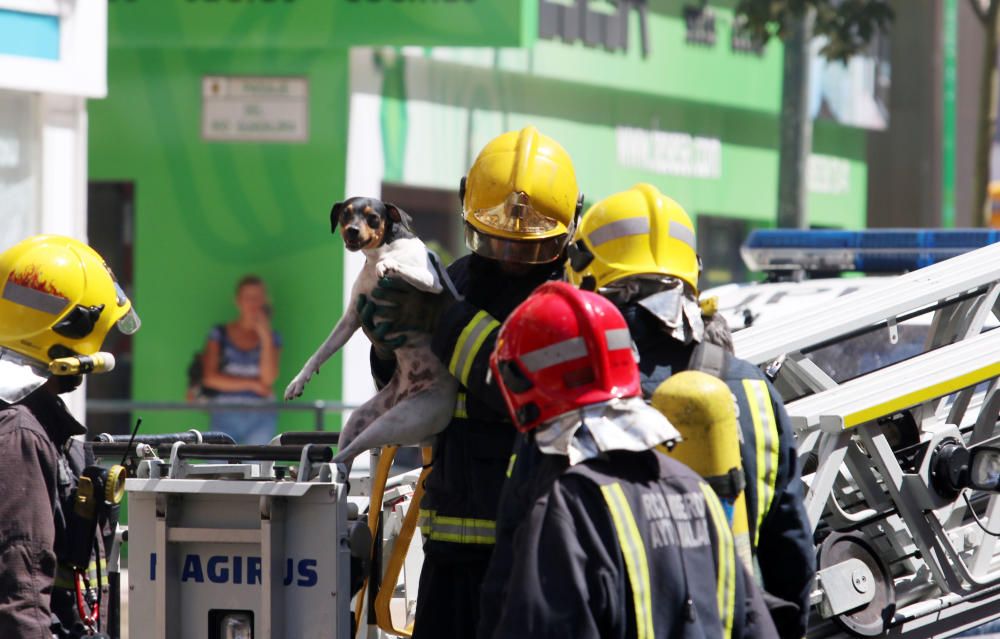 El fuego calcina un edificio de Héroe de Sostoa