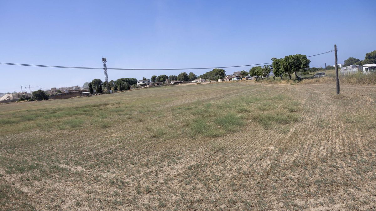 Área de transición en s'Arenal susceptible de ser urbanizable.