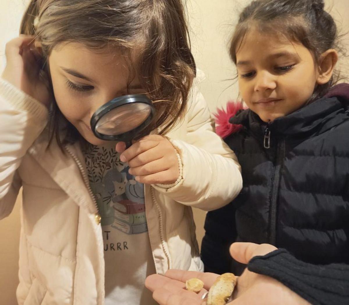 Los pequeños experimentaron con fósiles y rocas. | AQUAGRARIA