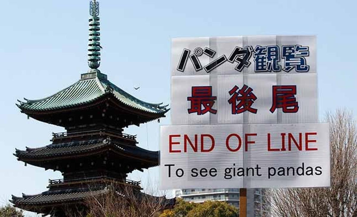Un cartell marcant el fi de la llarga fila és mostrat mentre milers de persones esperen per veure la primera aparició pública d’óssos panda gegants en tres anys, al parc zoològic d’Ueno, Tòquio (Japó).