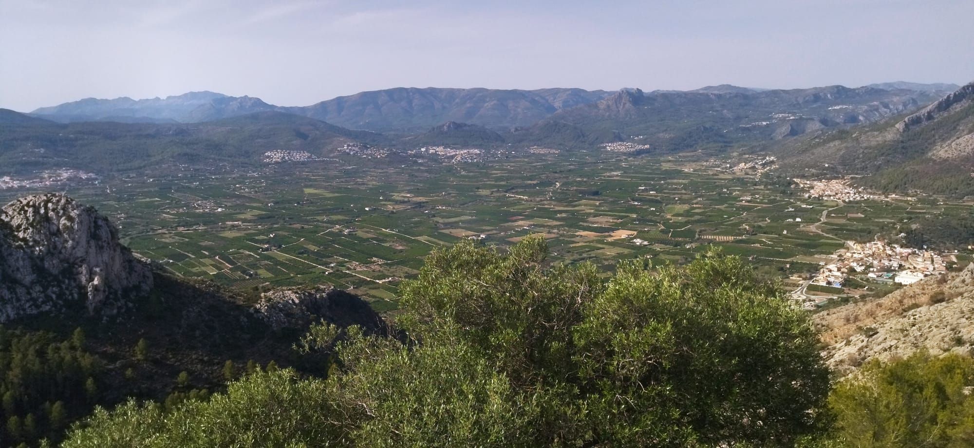 Arroz al norte y naranjos al sur: el paisaje agrícola desde la cima de Segària (imágenes)
