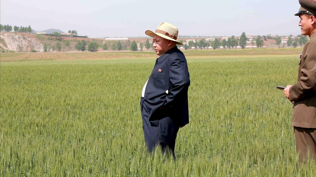 zentauroepp30077900 north korean leader kim jong un visits farm no  1116  under 170830201545