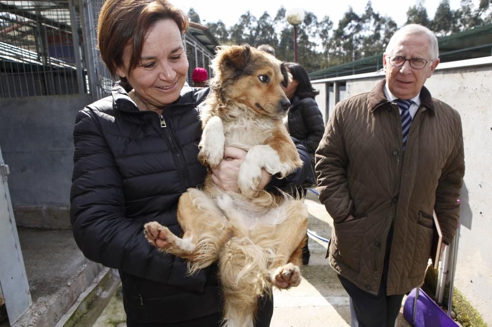 Carmen Moriyón y Maniel Arrieta visitan el Albergue de Animales de Serín