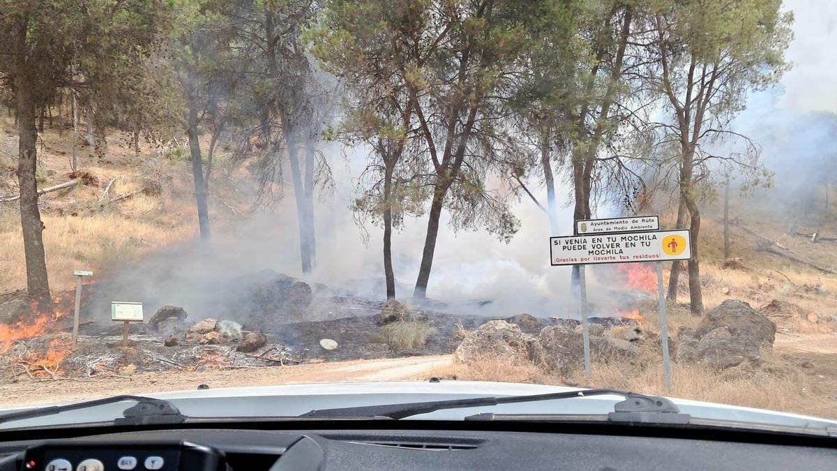 Imagen de uno de los focos del incendio forestal de Rute.