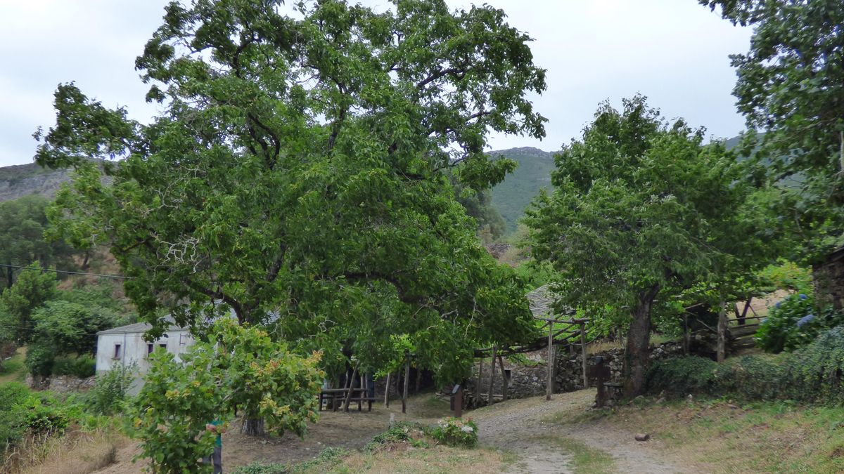 Pueblos guapos de Asturias: Riodeporcos (Ibias), al que se llega cruzando un puente