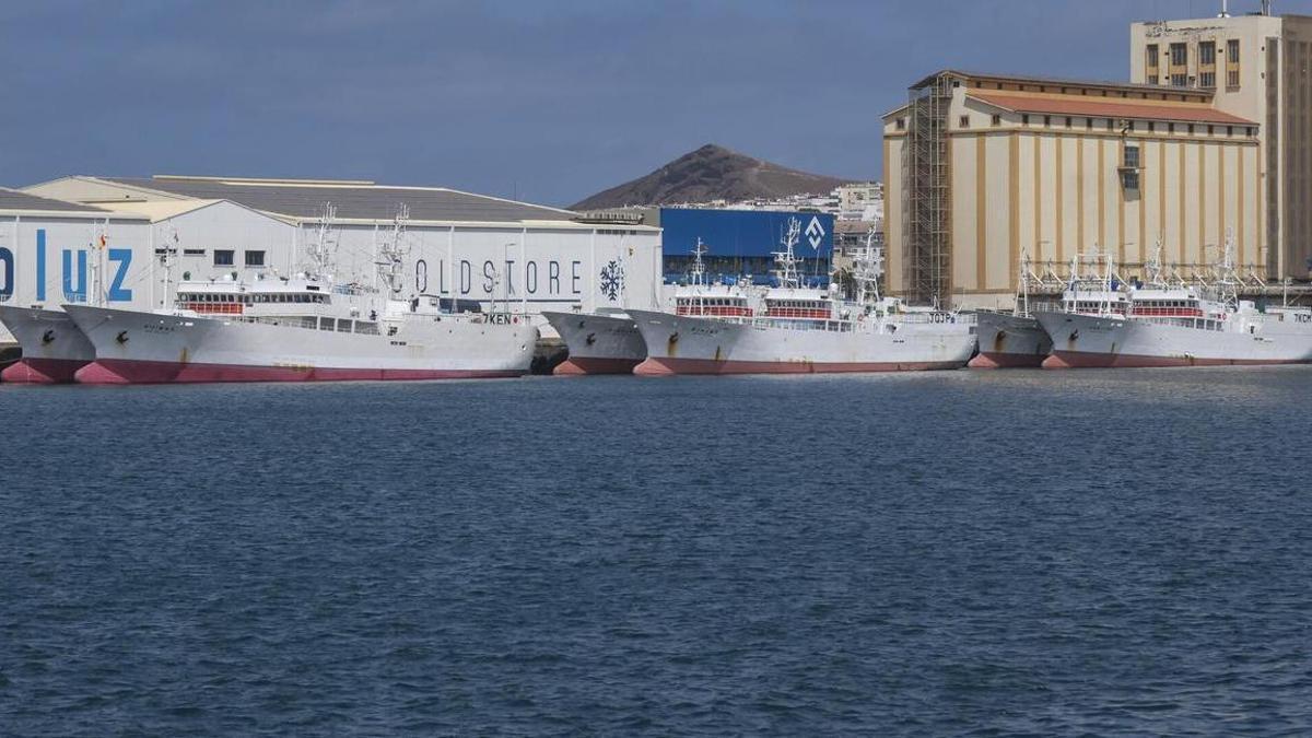 Flota japonesa en el Puerto de Las Palmas