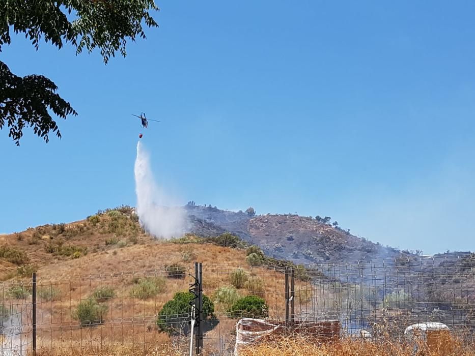 Declarado un incendio forestal en Monte Coronado