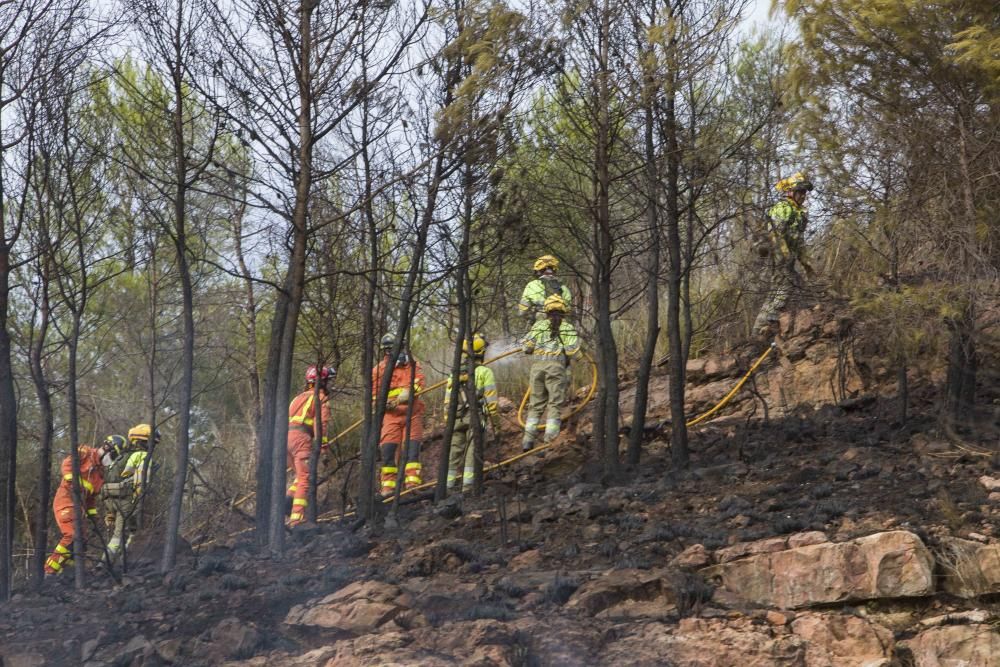 Incendio forestal en la zona el Pi d'Ambrosio de l'Ènova