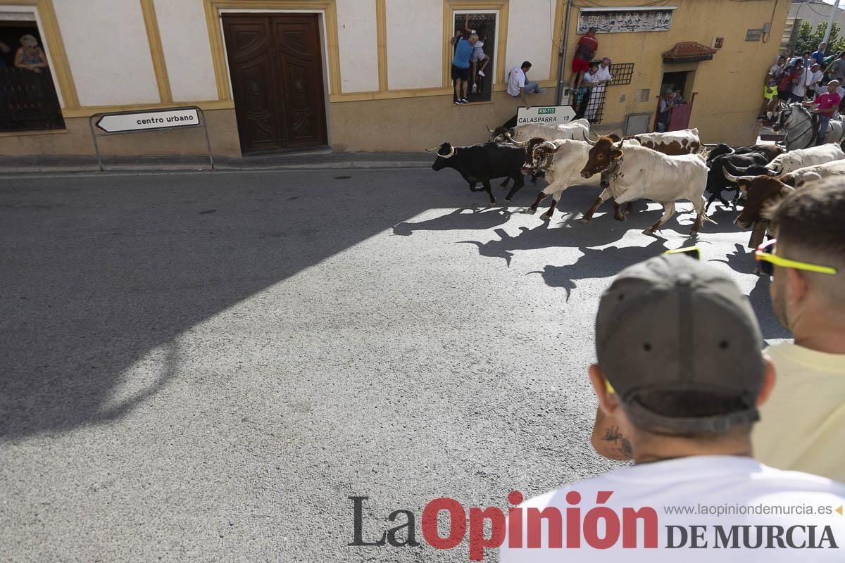 Cuarto encierro en las Fiestas de Moratalla