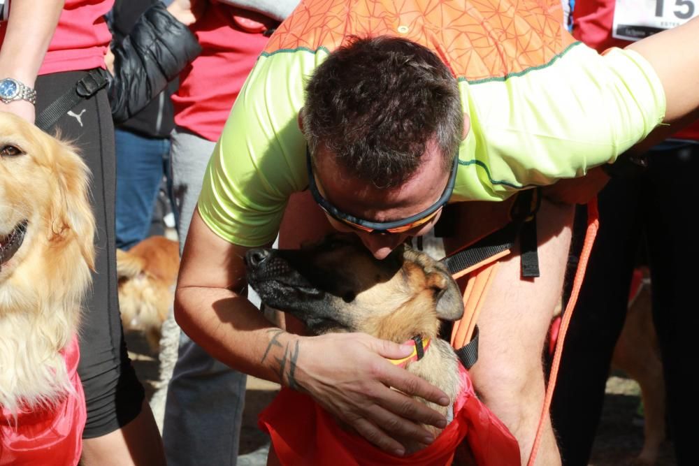 Así ha sido la Doggie Race en Benavente