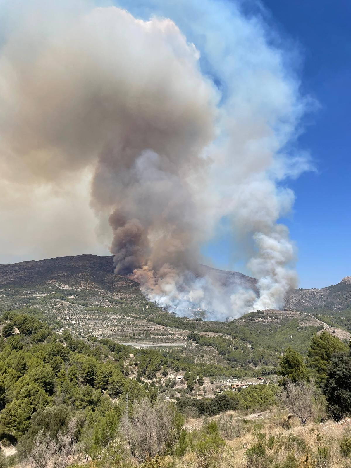 Incendio forestal en la Serra Ferrer, entre Tàrbena y Xaló