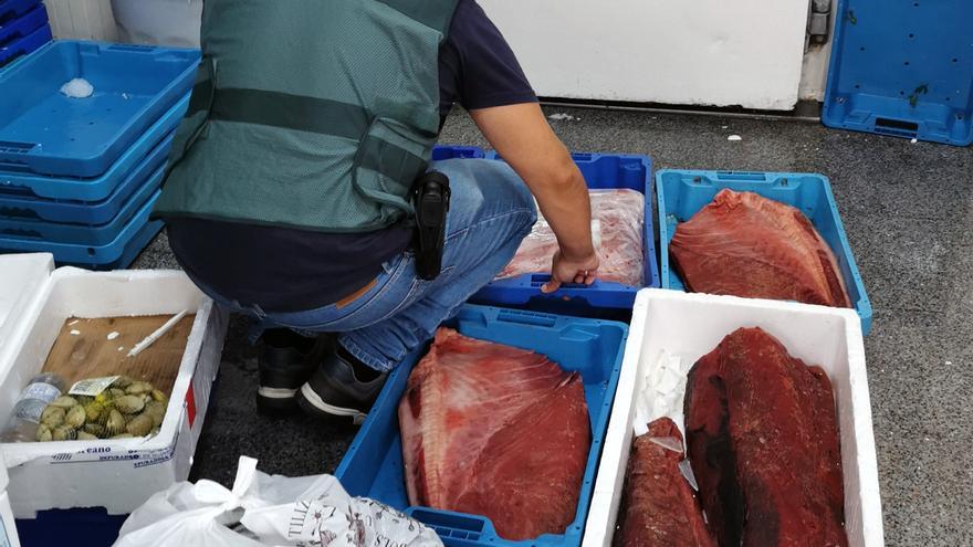 Desmantelan un grupo criminal dedicado al robo de atún rojo en la comarca del Mar Menor