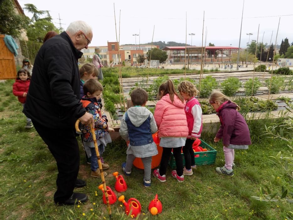 Un hort intergeneracional al pati de l'escola Paidos