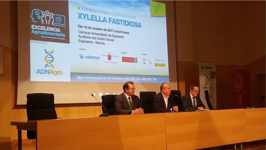 El Auditorio del Centro Social (Espinardo) acogió una jornada técnica agroalimentaria sobre la bacteria ´Xylella fastidiosa´.