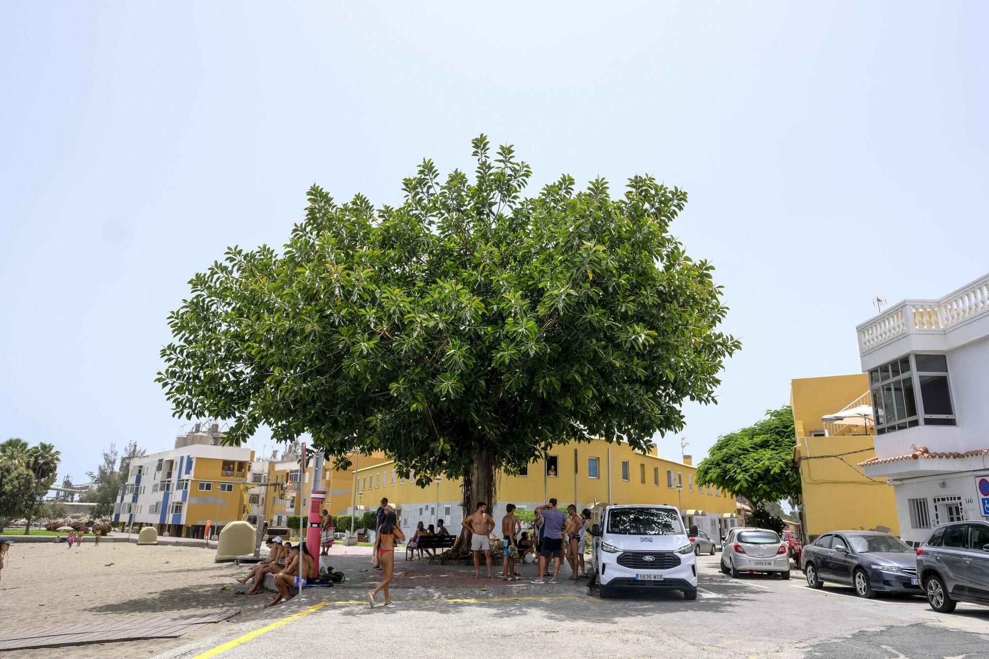 Jornada de fuerte calor en El Pajar (17/07/25)