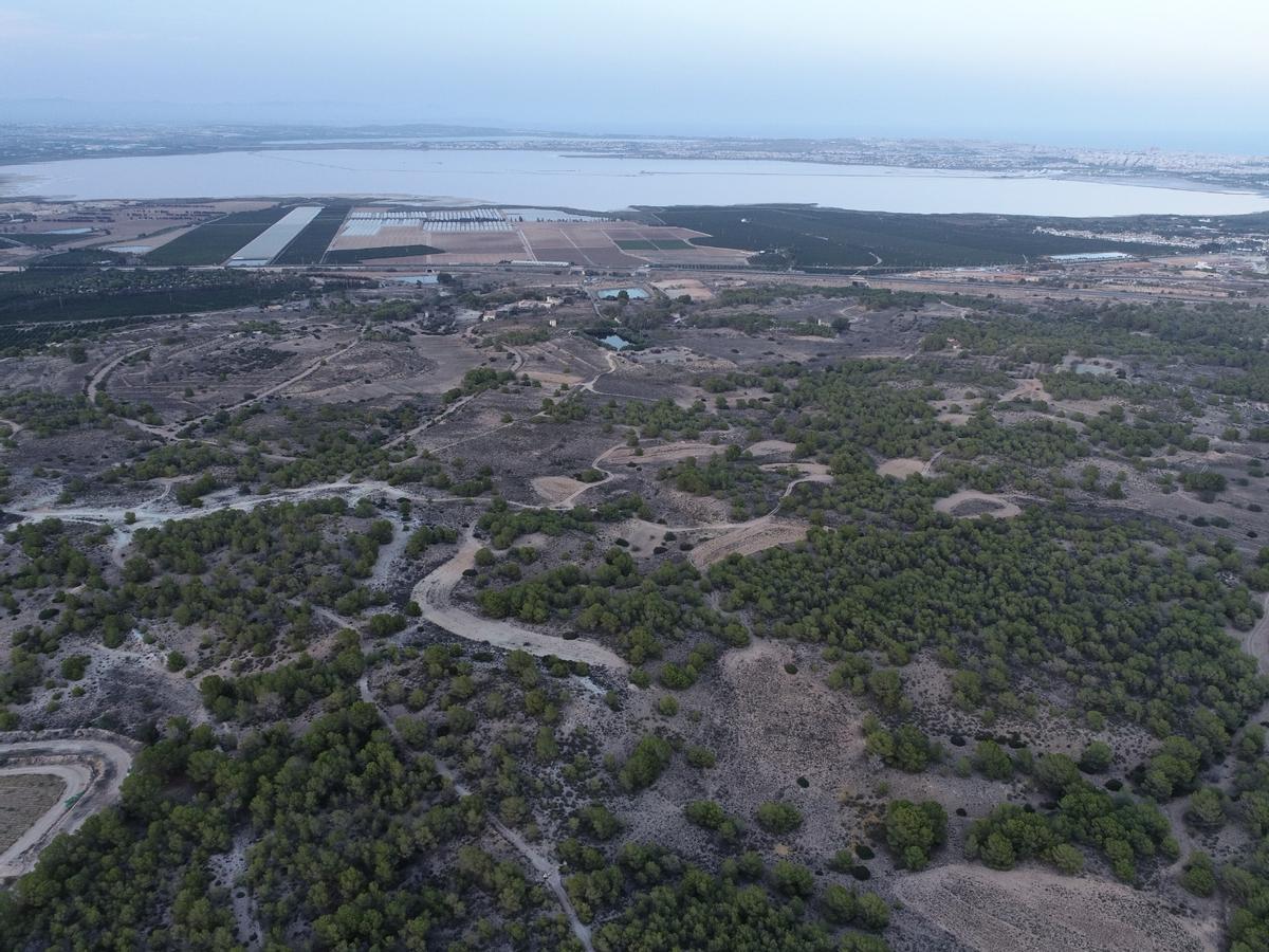 Uno de los suelos agrícolas y forestales afectados por el proyecto junto a la rambla de la Fayona, en un corredor ecológico entre Sierra Escalona y la laguna de Torrevieja