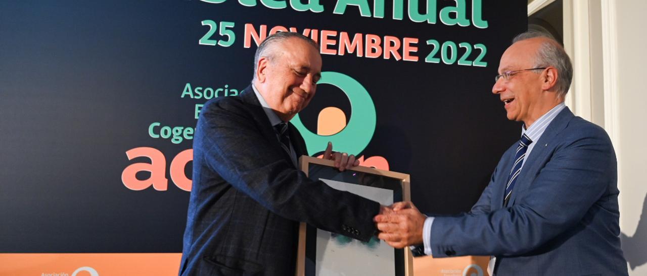 El presidente del grupo Pamesa, Fernando Roig, recibe el premio Cogenerador del Año en Madrid.