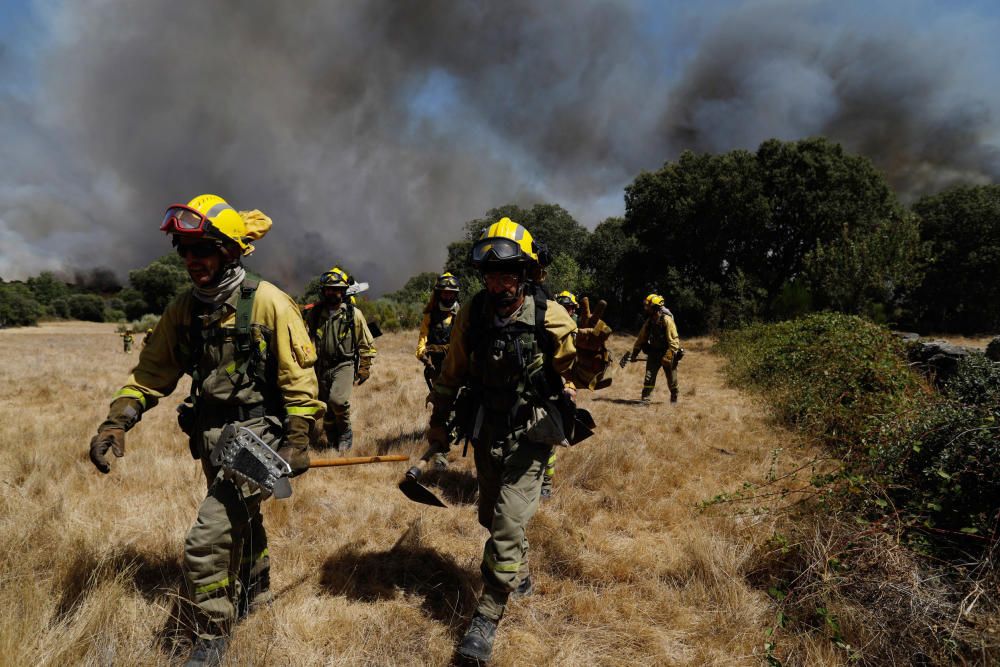 Incendio Pino del Oro y Castro de Alcañices