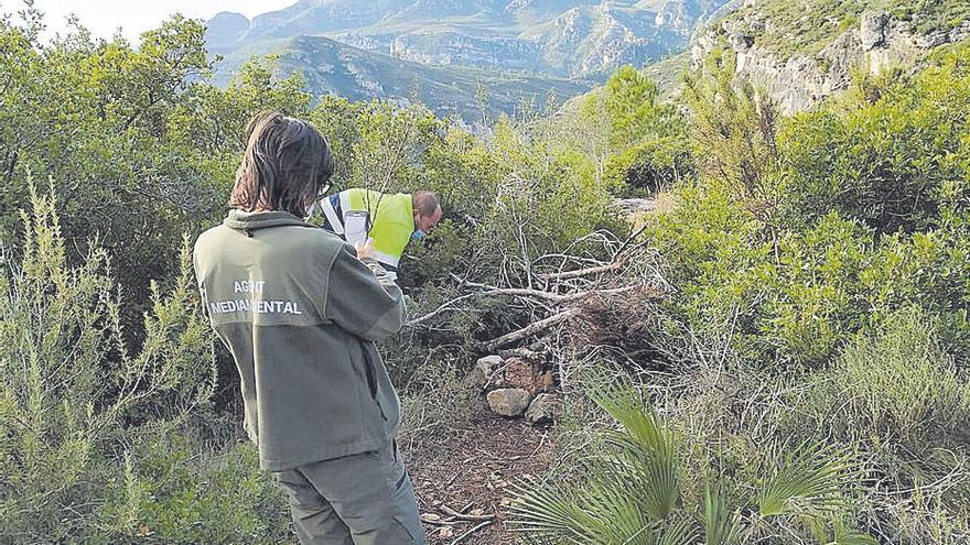 Multan a Xeraco por abrir una senda donde nidifican águilas