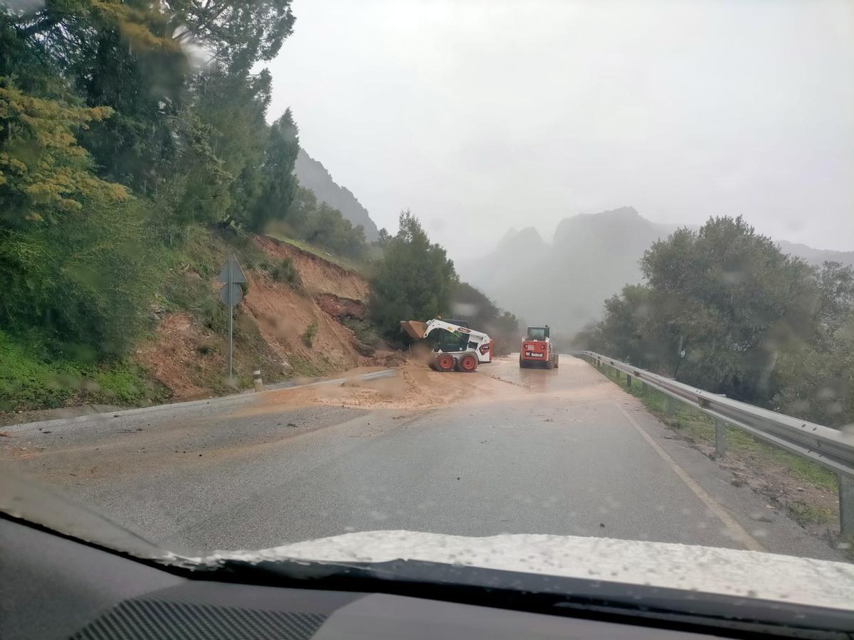 La MA-8301, de Estepona a Jubrique, se está cortando en varias ocasiones por caída de pinos