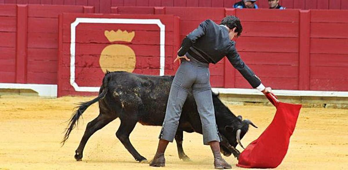 Álvaro de Chinchón triunfa con su arte