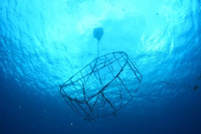 Limpieza del fondo marino de Arrecife