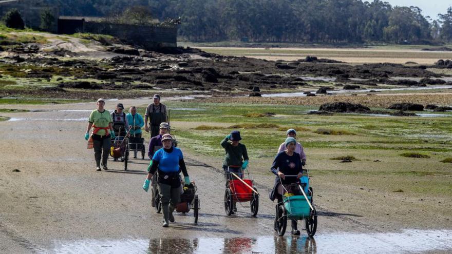 Mariscadoras de Cambados camino del punto de control, a última hora de la mañana.