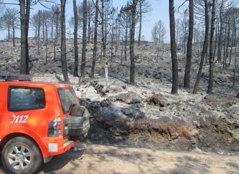 Incendio forestal en Llutxent