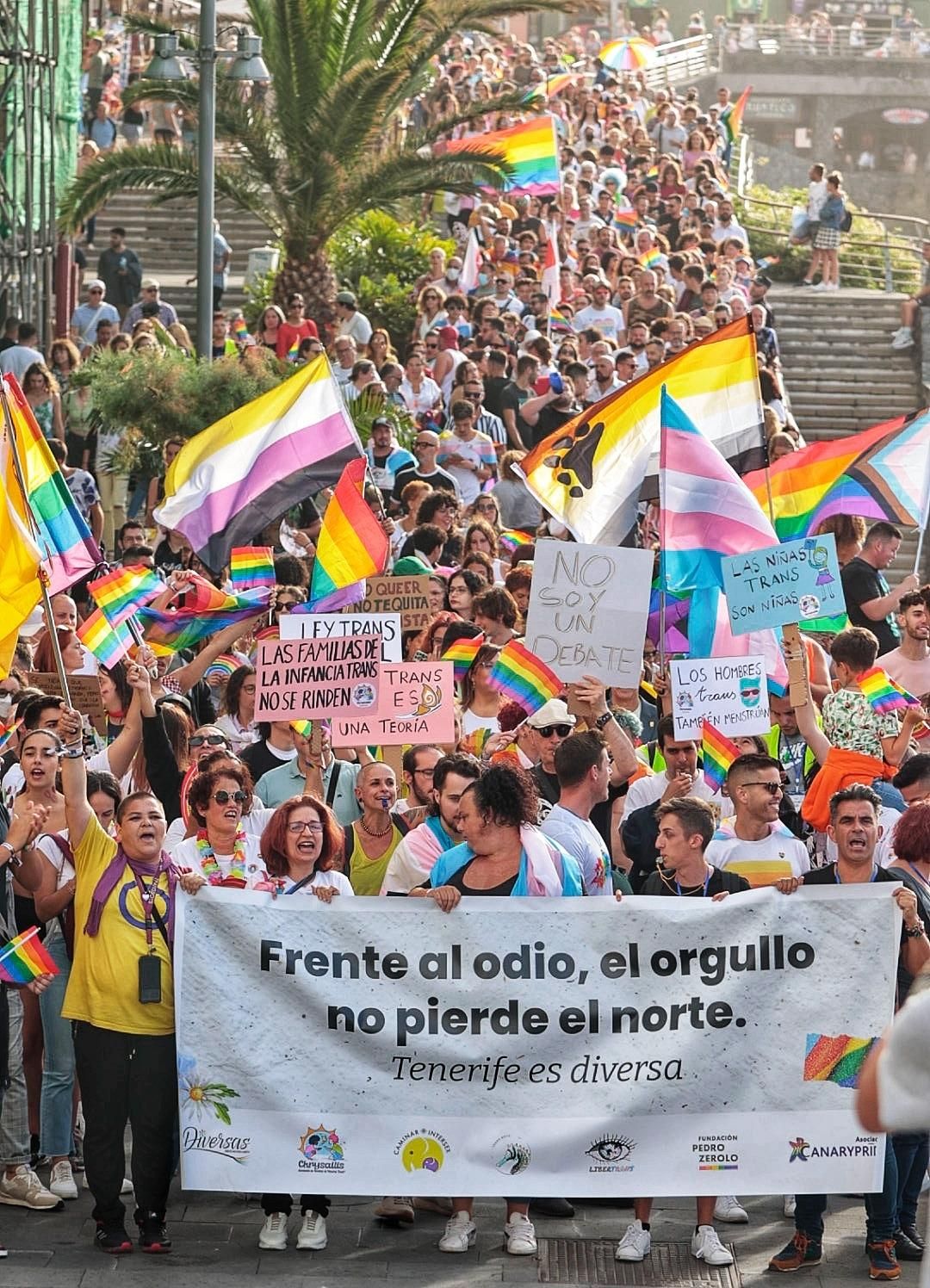 Manifestación insular del Orgullo LGTBI a su paso por el paseo de San Telmo