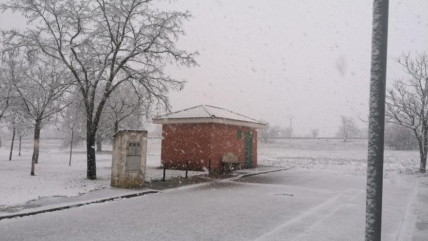 VÍDEO | Así nieva en Morales del Vino: los copos ya llegan a Zamora capital