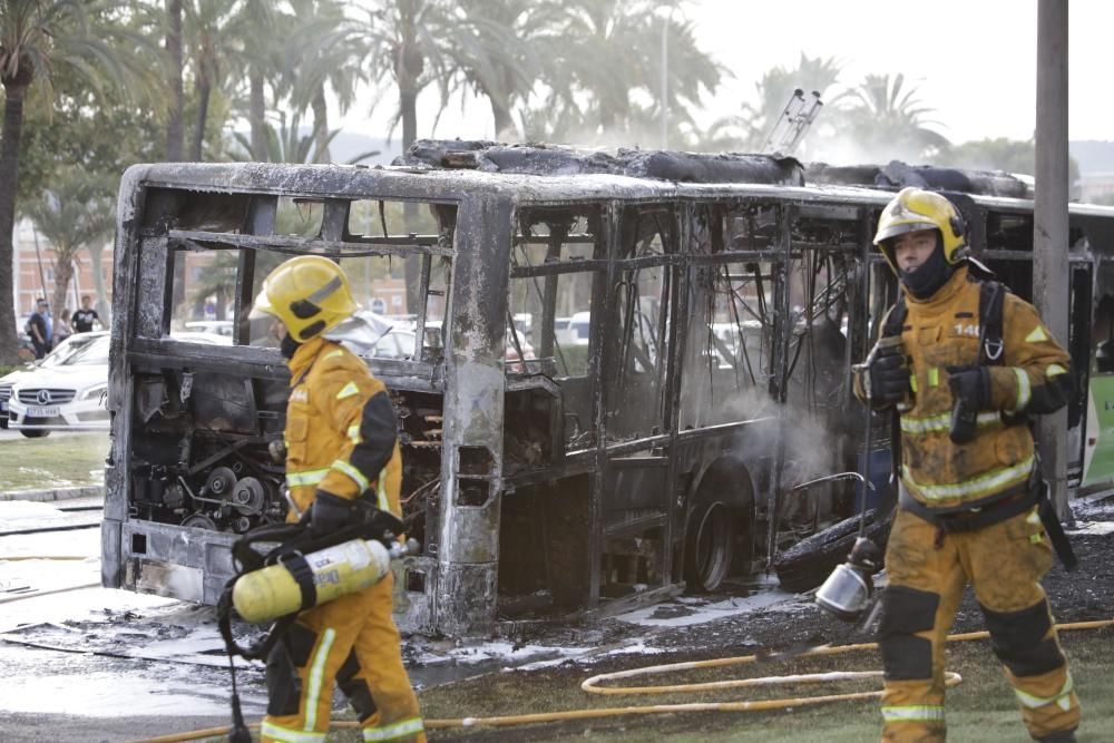 Stadtbus brennt vor der Kathedrale von Palma ab