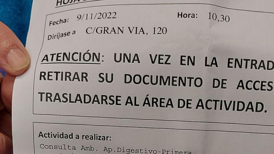 Una canguesa, con cita para el digestivo dentro de un año