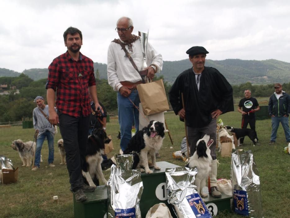 Concurs de gossos d'atura de Castellterçol