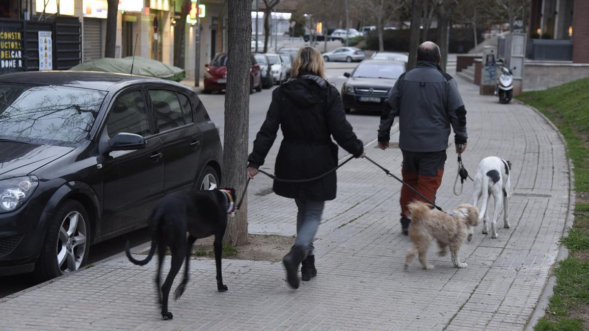 Gent passejant gossos a Manresa