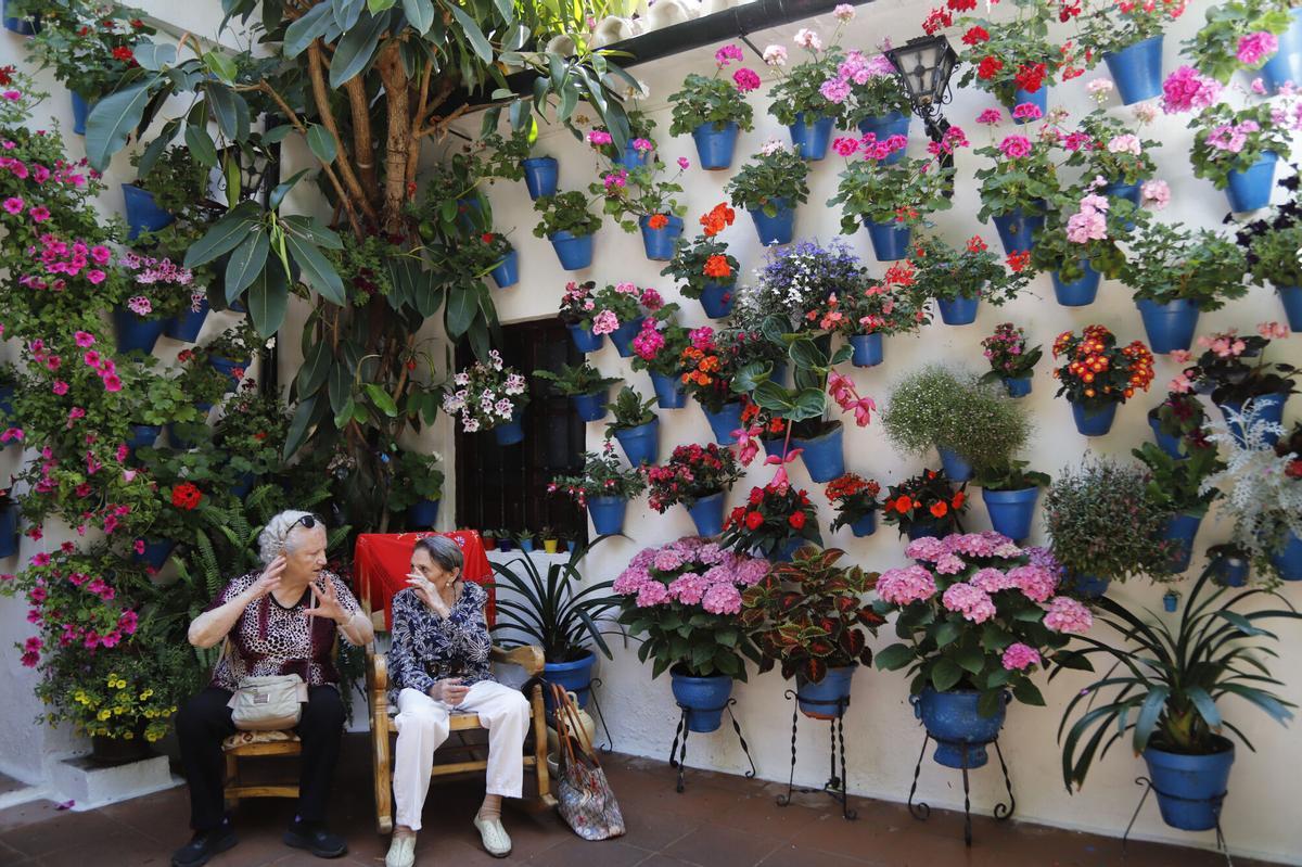 Córdoba Patios patio Tinte 9