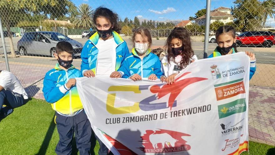 Media docena de medallas para el Club Zamorano de Taekwondo en el Nacional de Clubes